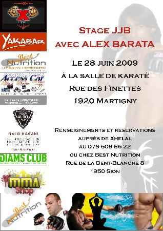 Stage de Jiu-Jitsu Brésilien en VALAIS