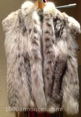 Vêtements et Accessoires