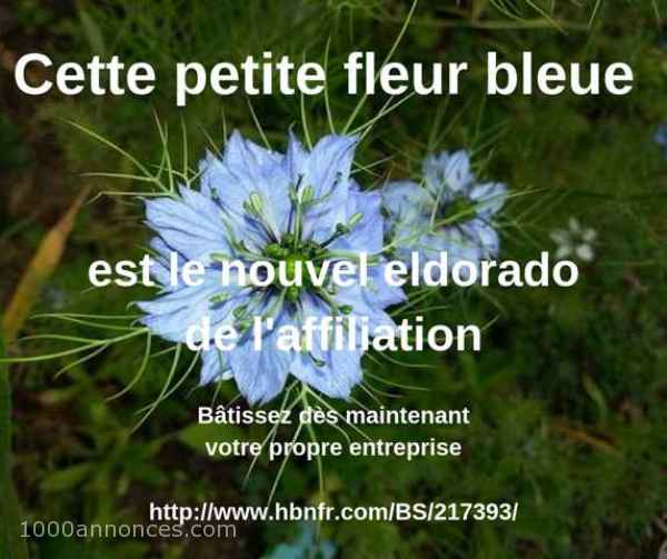 Travail à domicile